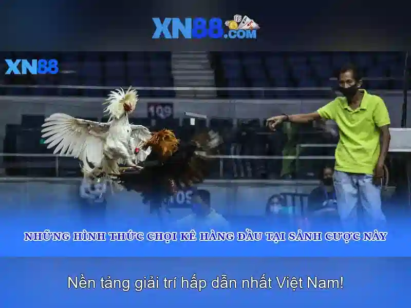 Sản phẩm và dịch vụ cốt lõi liên quan đến xn88 ap