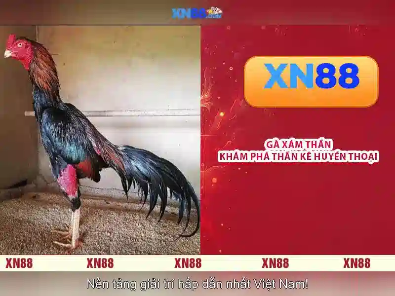 Tính năng nổi bật của XN88