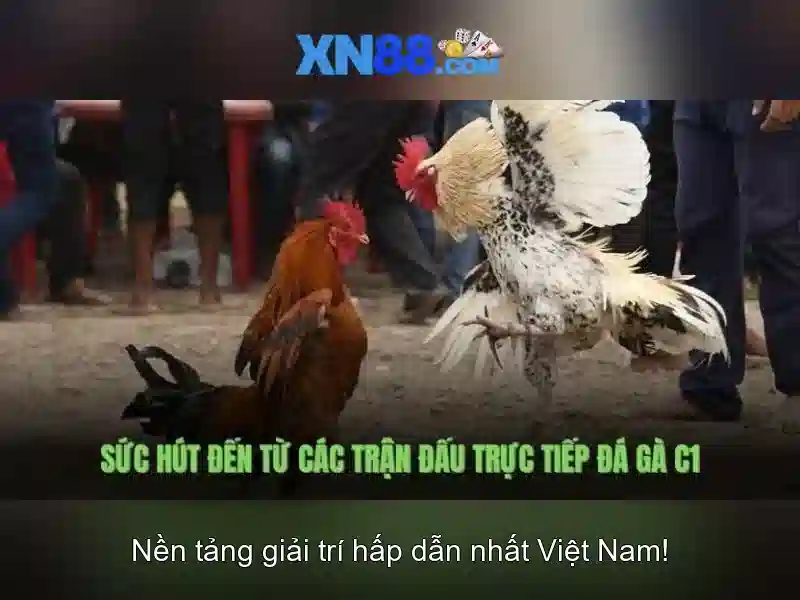 Mẹo quản lý ngân sách và chiến lược chơi an toàn