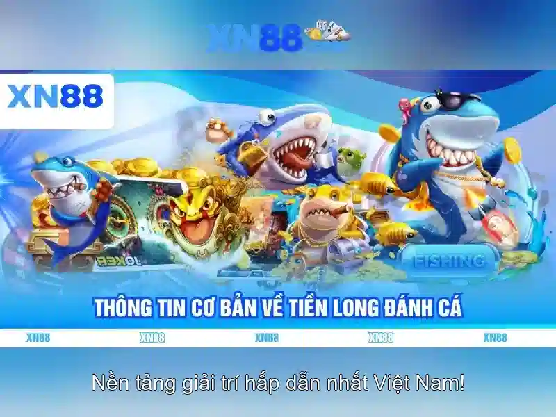 Hướng dẫn bắt đầu
