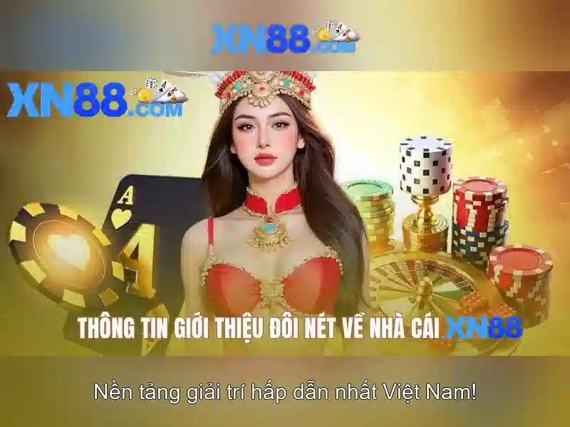 Giao diện và trải nghiệm người dùng
