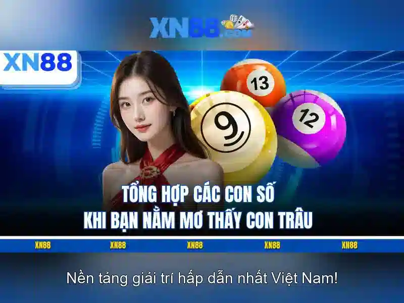 xn88 là gì và mục đích sử dụng\n