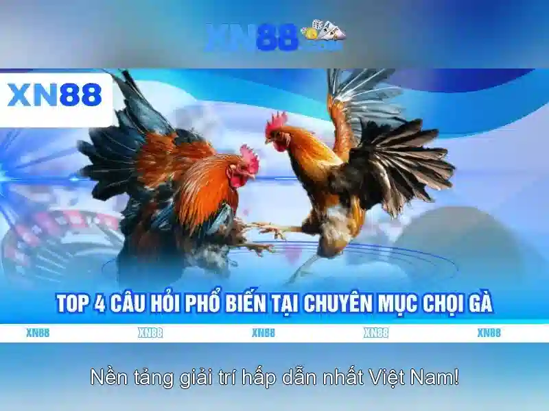 Tổng quan về xn88 - Nền tảng giải trí trực tuyến