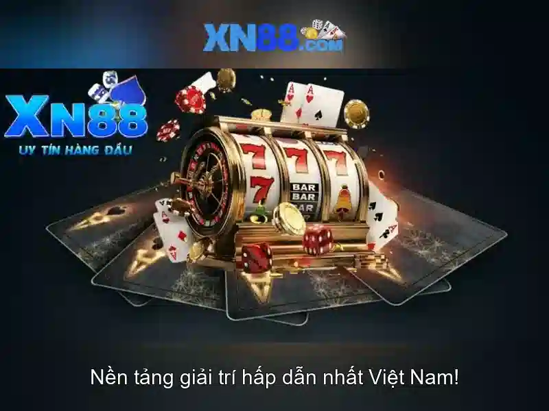 Cộng đồng và kết nối người dùng