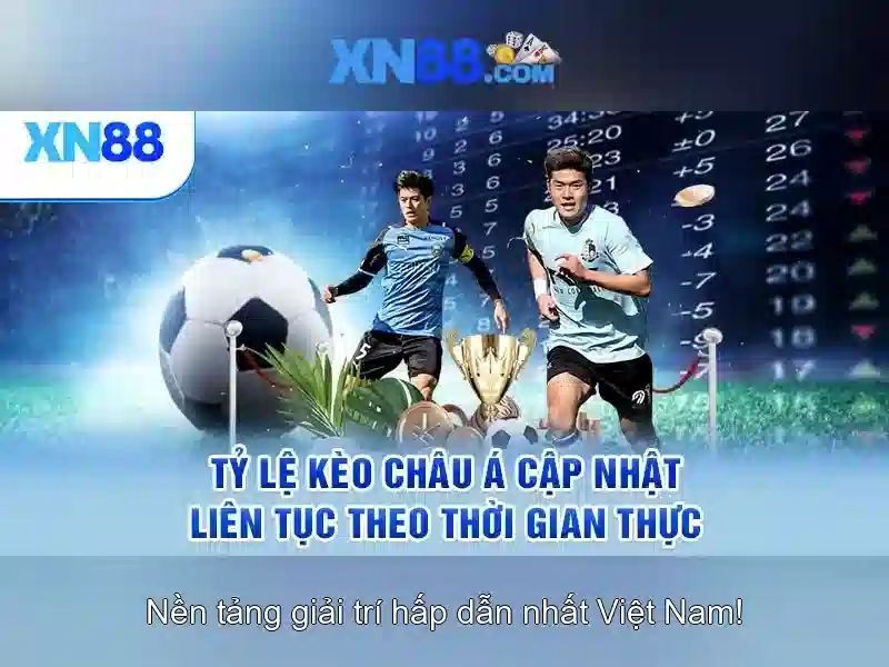 Nền tảng và trải nghiệm người dùng