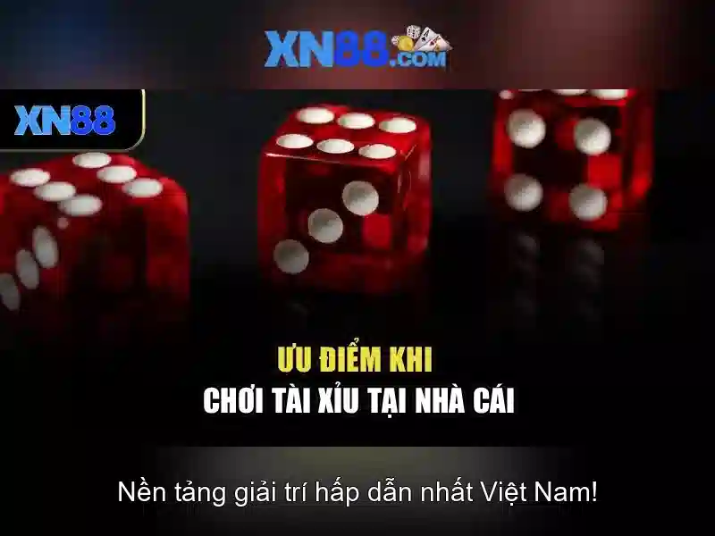 Kết luận và liên hệ hỗ trợ