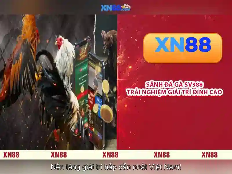 xn88 - Tổng quan và tiềm năng