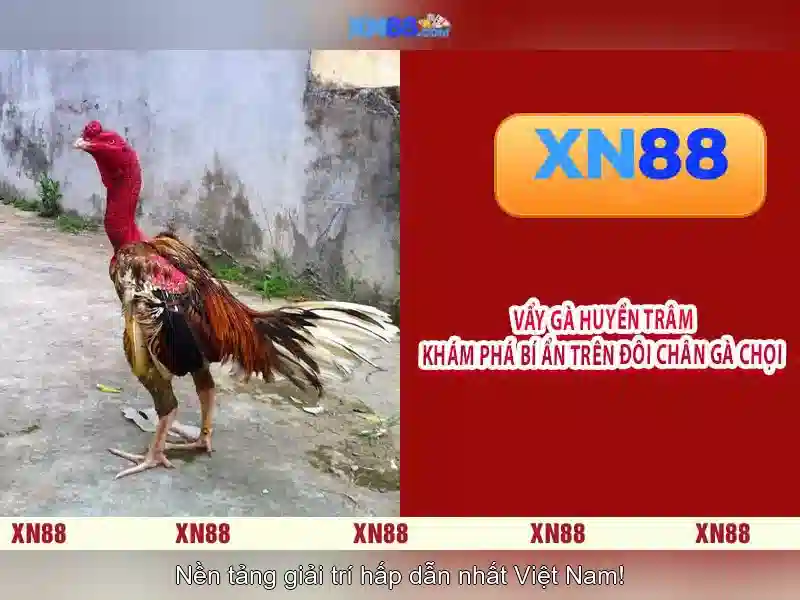 Giới thiệu xn88: Nền tảng cá cược trực tuyến