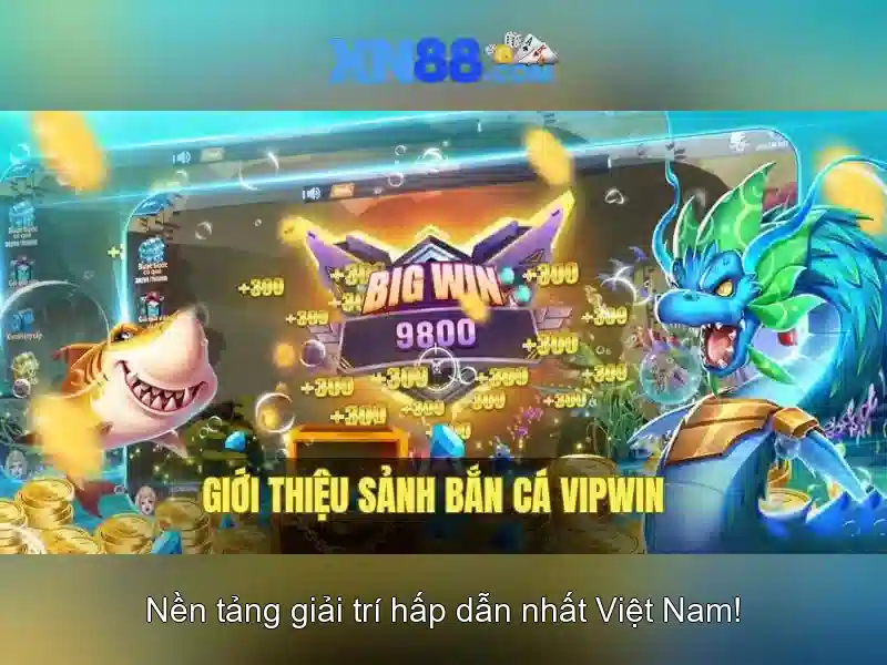 xn88: Giới thiệu và những điều cần biết