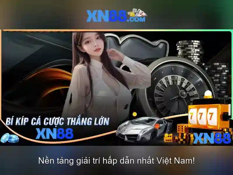 Hướng dẫn tham gia và trải nghiệm người dùng