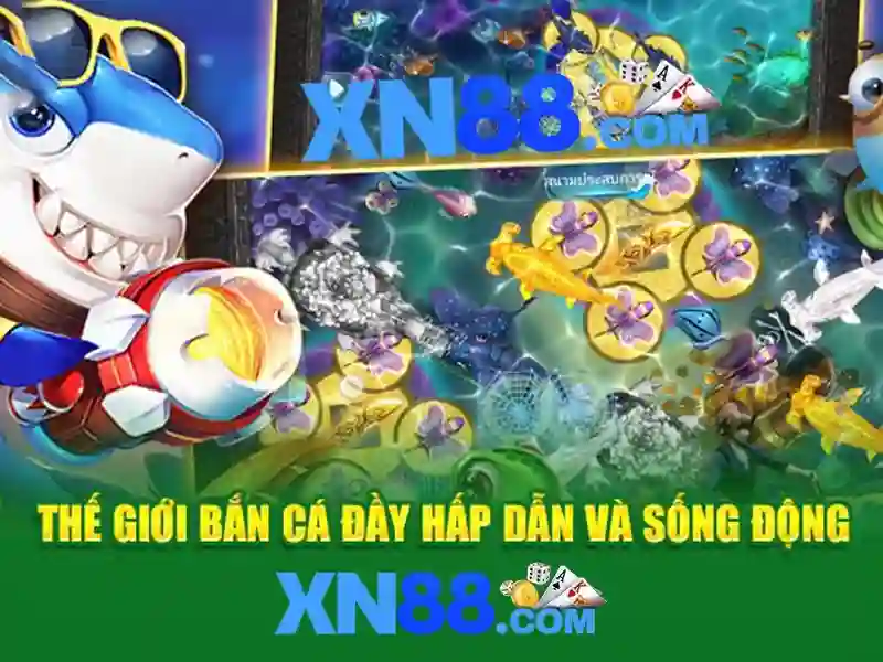 Giao diện và trải nghiệm người dùng\n