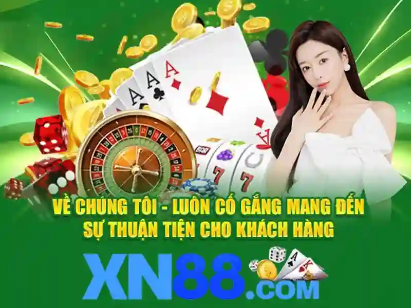 Trải nghiệm người dùng và phản hồi từ cộng đồng